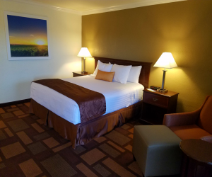 Days Inn & Suites Lodi - Guest Room with 1 King Bed