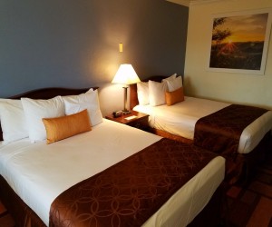 Days Inn & Suites Lodi - Guest Room with 2 Queen Beds