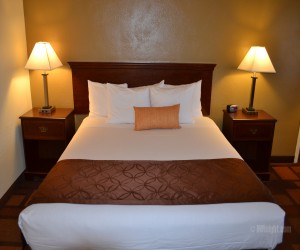 Days Inn & Suites Lodi - 1 King Bedroom at Days Inn Lodi