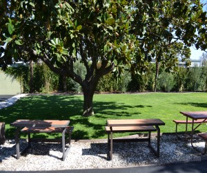 Days Inn & Suites Lodi - Picnic area and lawn at Days Inn Lodi