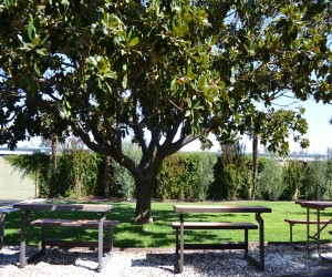 Days Inn & Suites Lodi Exterior - Days Inn Lodi BBQ Area