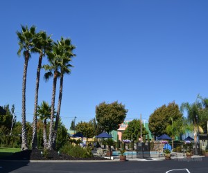 Days Inn & Suites Lodi Exterior - Days Inn & Suites Lodi Pool Area