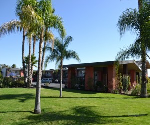 Days Inn & Suites Lodi Exterior - Palm Trees at Days Inn Lodi